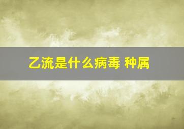 乙流是什么病毒 种属